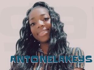 ANTONELAKEYS