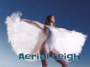 Aerial_Leigh