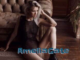 AmeliaGate