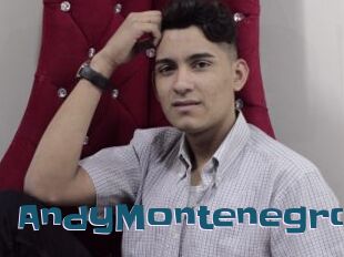 AndyMontenegro