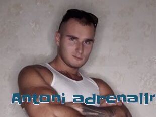 Antoni_adrenal1n