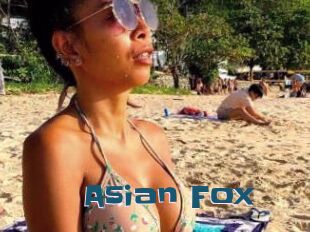 Asian_Fox