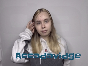 Accadavidge