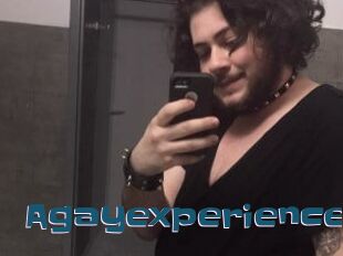 Agayexperience