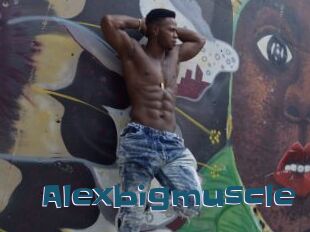 Alexbigmuscle