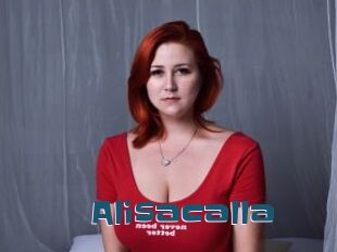Alisacalla