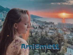 Amismett