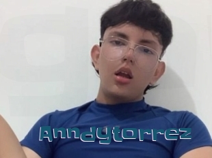 Anndytorrez