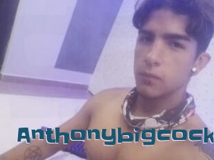 Anthonybigcock