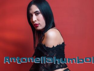 Antonellahumbolt