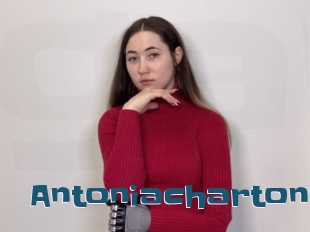 Antoniacharton