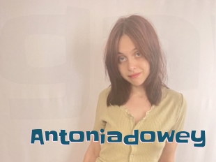 Antoniadowey