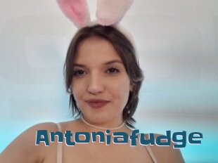 Antoniafudge