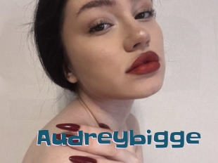 Audreybigge