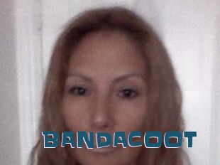 BANDACOOT