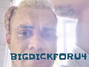 BIGDICKFORU4