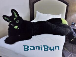 BaniBun