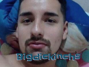 Bigdickinchs