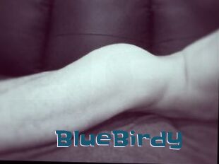 BlueBirdy