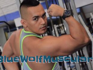 BlueWolfMuscular