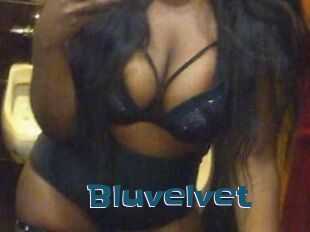 Bluvelvet