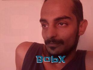 BobX