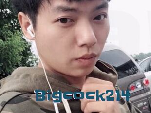 Bigcock214
