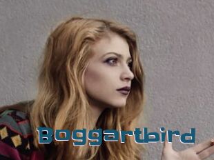 Boggartbird