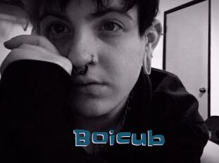 Boicub