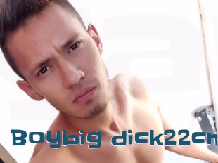 Boybig_dick22cm