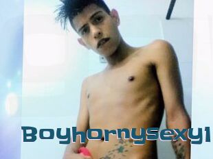 Boyhornysexy1