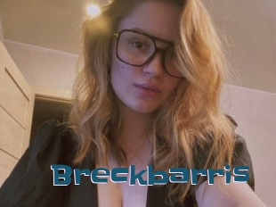 Breckbarris