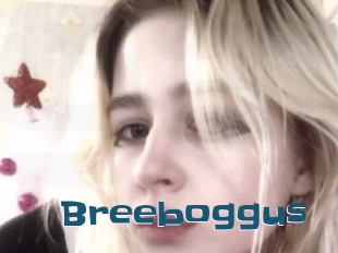 Breeboggus