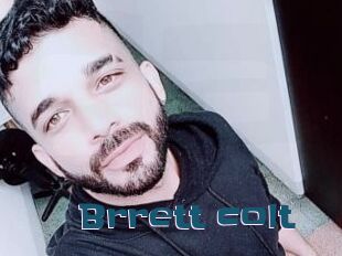 Brrett_colt