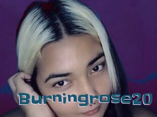 Burningrose20