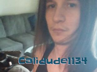 Calidude1134