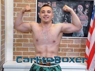 CarlitoBoxer