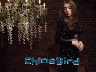 ChloeBird