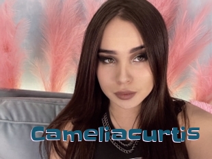 Cameliacurtis