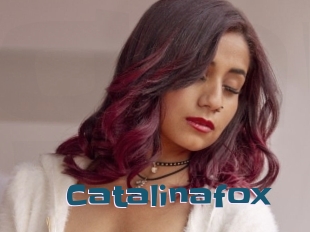 Catalinafox