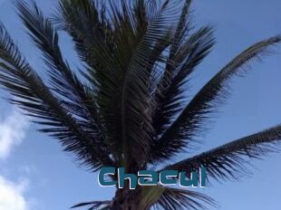 Chacul