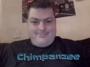 Chimpanzee