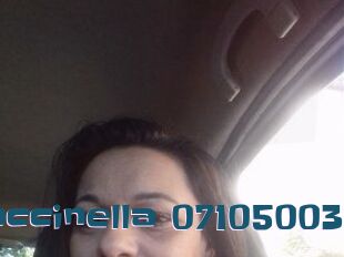 Coccinella-07105003