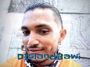 DIslandBawi