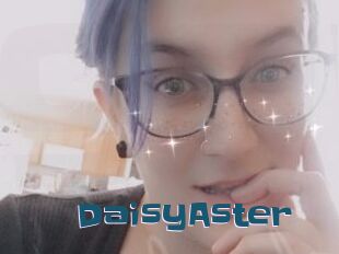 DaisyAster