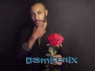 DamFenix