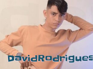 DavidRodrigues