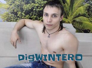 DigWINTERO