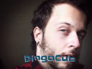 DingoCub