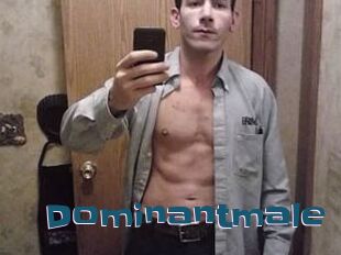 Dominantmale